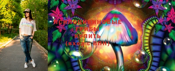 марки lsd Абаза