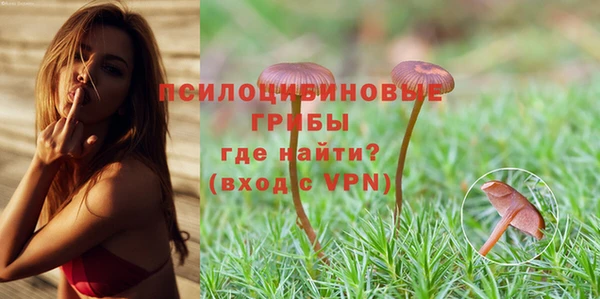 круглые Дмитров