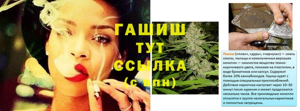 шишки Абинск