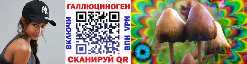 Псилоцибиновые грибы Cubensis  Арсеньев 
